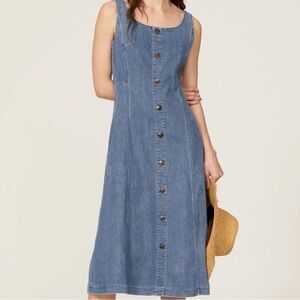 Adam Lippes Demon Flare Shirt dress